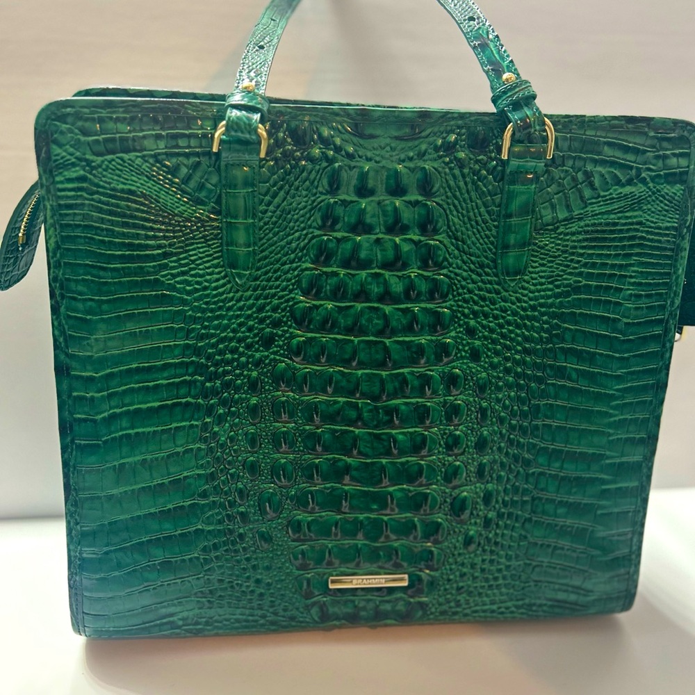 Brahmin Purse, green, NEW. Clean inside and out. Shoulder bag. Big purse.